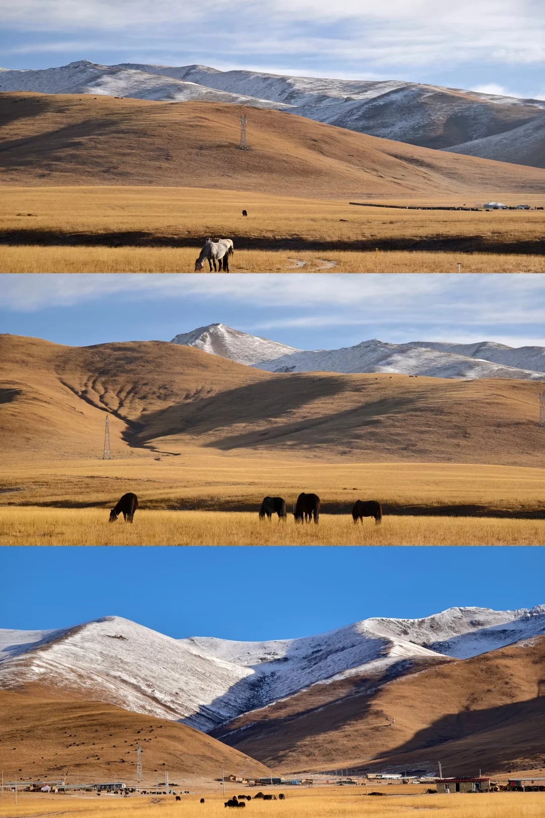 穿越莲宝叶则，遇见“可可西里”_1_青山_可可西里-来自52tours 我爱旅游网